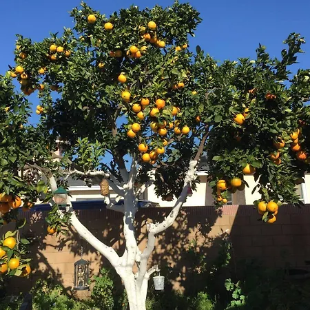 Apartments Villa Tanja