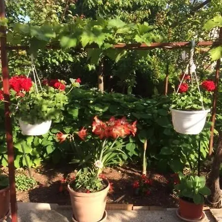 Apartment Apartments Villa Tanja *