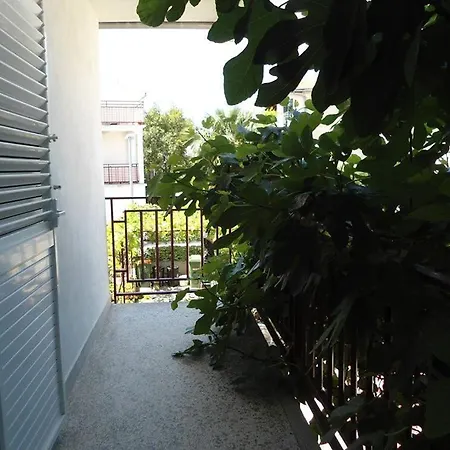 Apartment Apartments Villa Tanja *